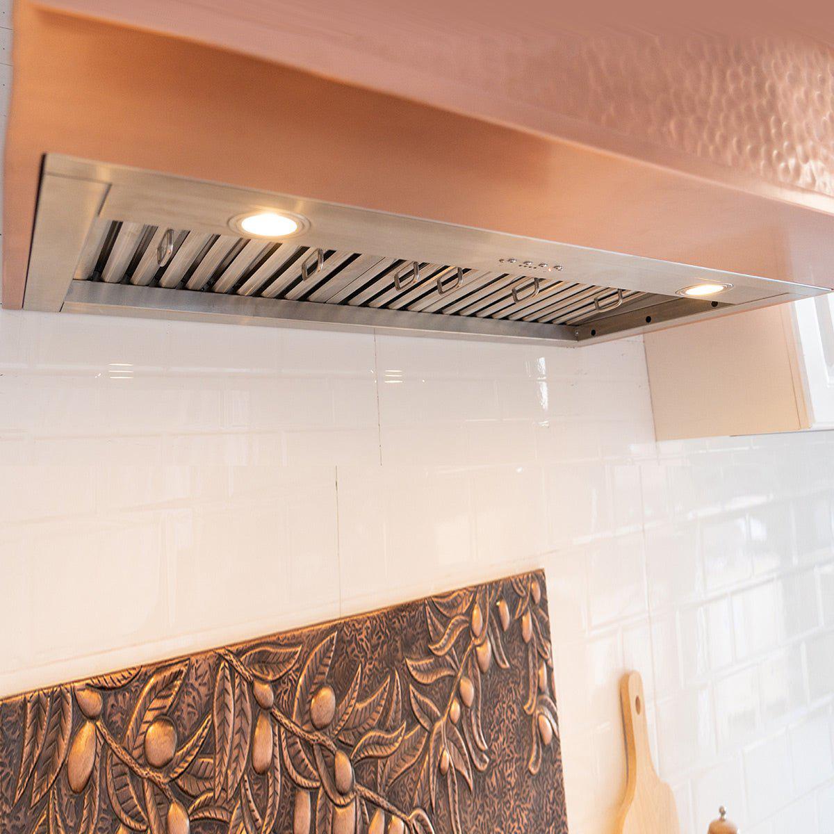 Fobest Stainless Steel Custom Range Hood with Brass Accents FSS-113