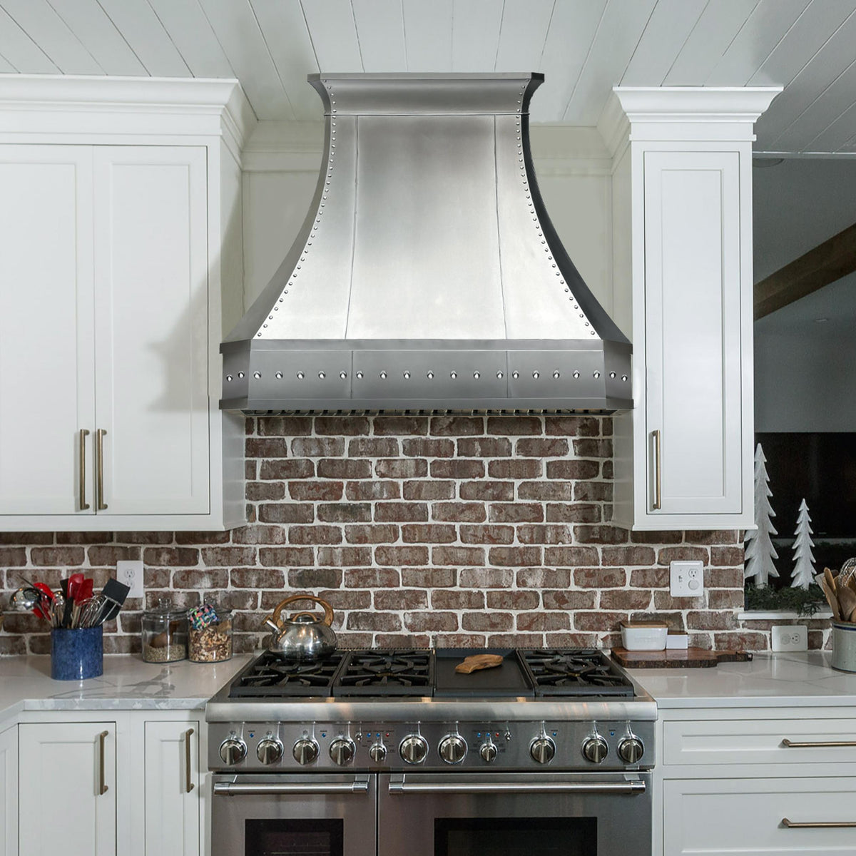 Fobest Industrial Stainless Steel Range Hood FSS-302